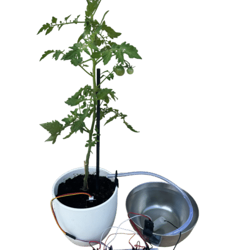 Projet DIY arrosage automatique de plante connectée