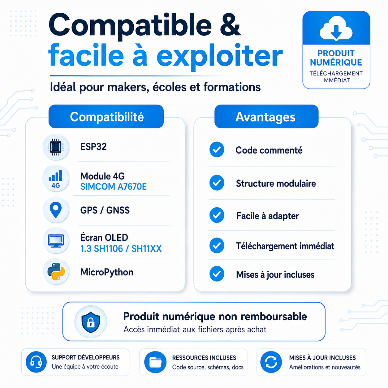 Code facile IA météo pour ESP32